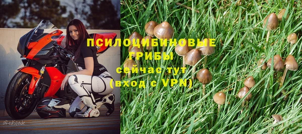 герыч Магадан