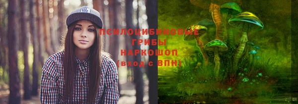 кокаин премиум Магас