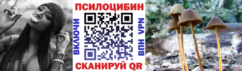 Галлюциногенные грибы прущие грибы OMG ссылки Салаир